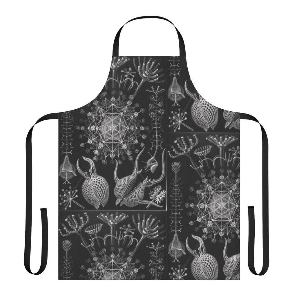 Ernst Haeckel's Phaeodaria illustration printed on a high-quality apron