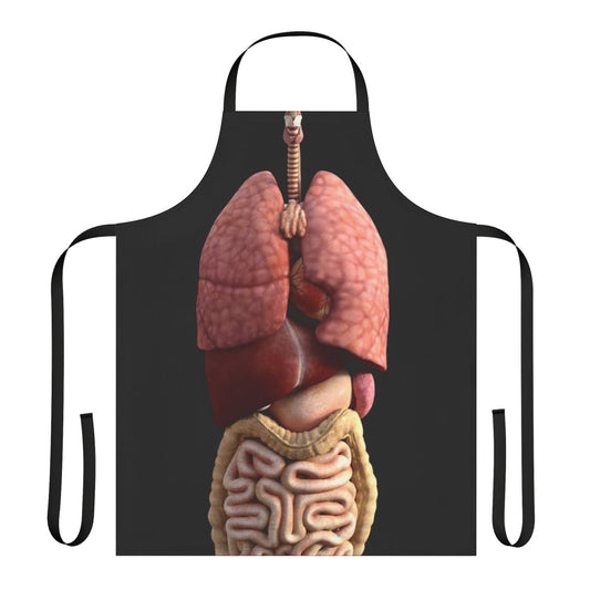 Model wearing an apron with a 3D illustration of the internal organs of the human body