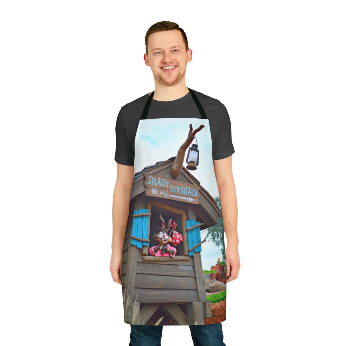 Splash Mountain themed apron featuring Brer Rabbit and the "Zip-a-Dee-Doo-Dah" song lyrics