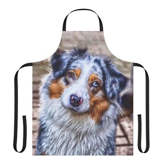 A high-quality apron featuring an adorable Australian Shepherd dog in a blue merle coat.