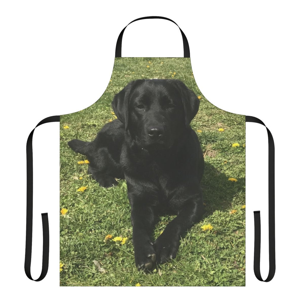 Black Labrador Dog Apron for Pet Owners and Dog Lovers