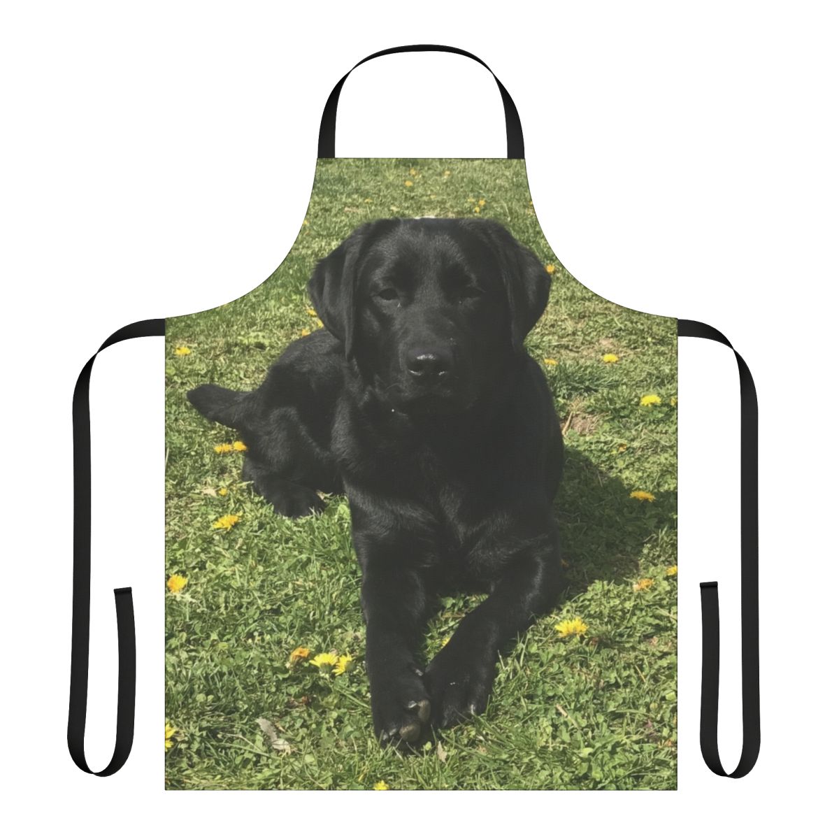 Black Labrador Dog Apron for Pet Owners and Dog Lovers