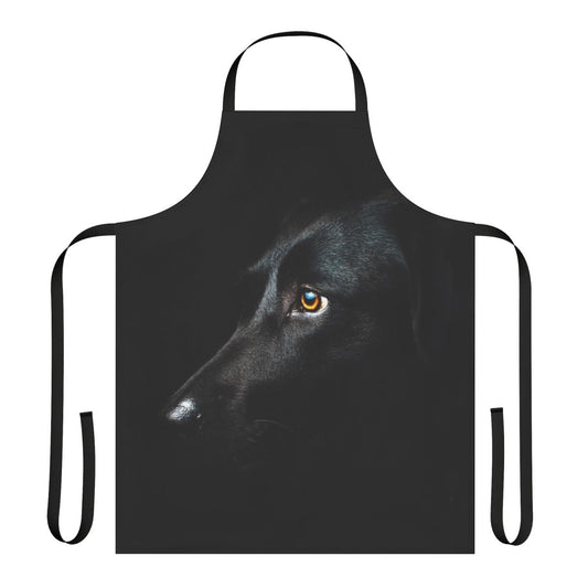 Black Labrador Retriever wearing a high-quality apron