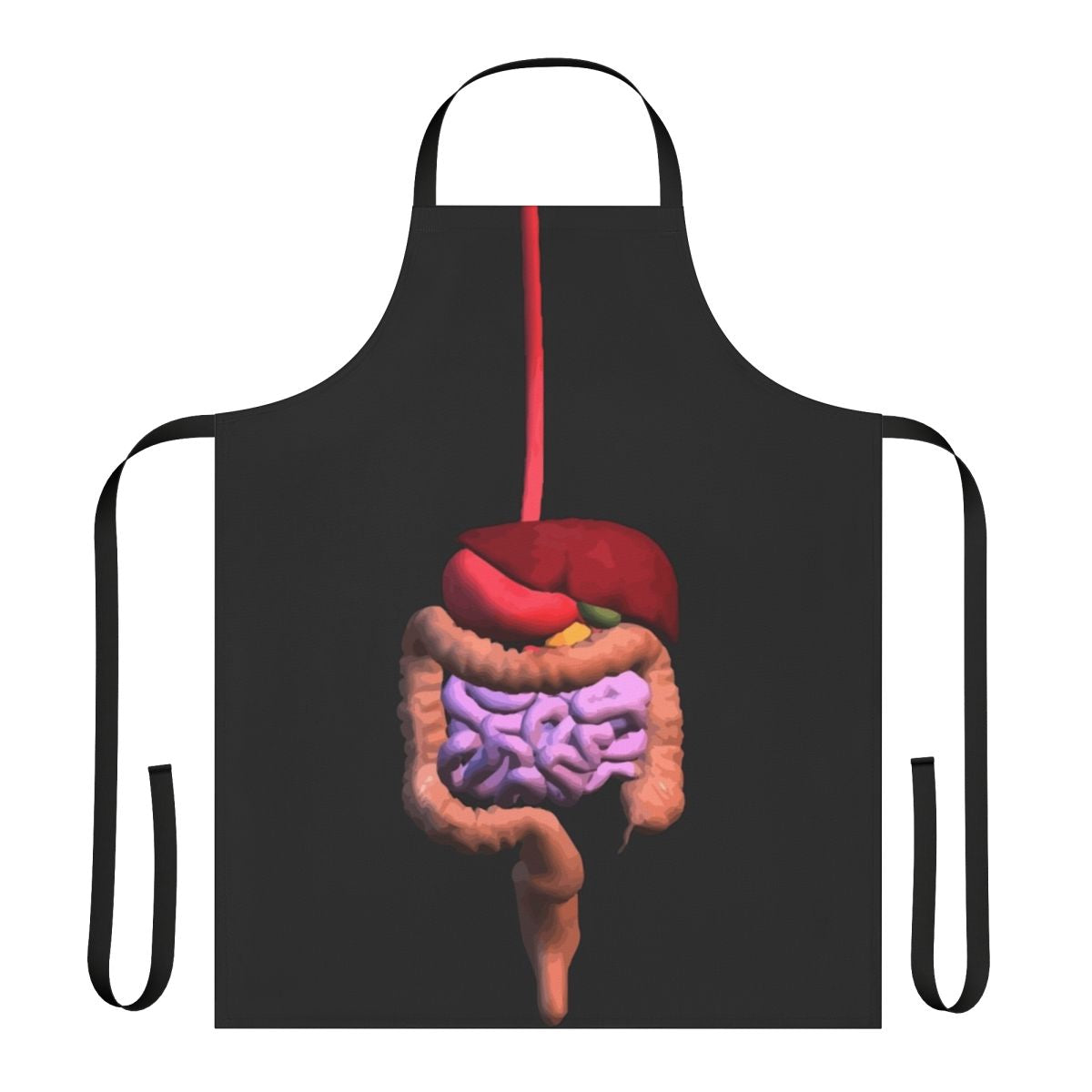Transparent 3D digestive system design printed on an eco-friendly apron