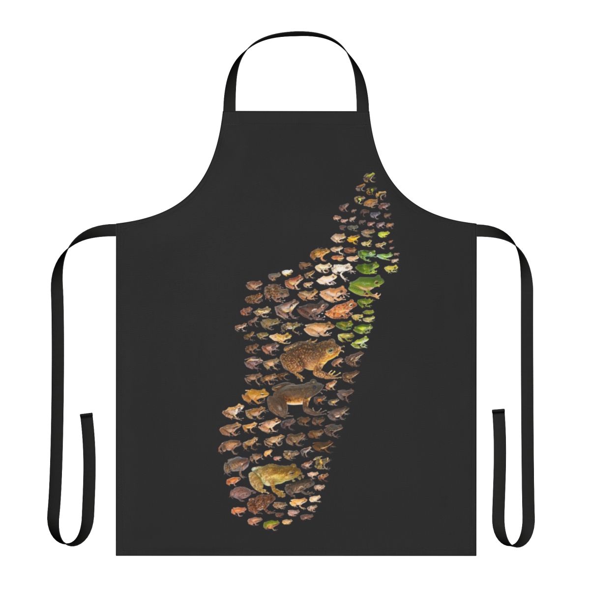 Colorful apron featuring a scientific illustration of diverse Mantellidae frog species from Madagascar