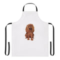 Cavalier King Charles Spaniel in ruby red on an apron