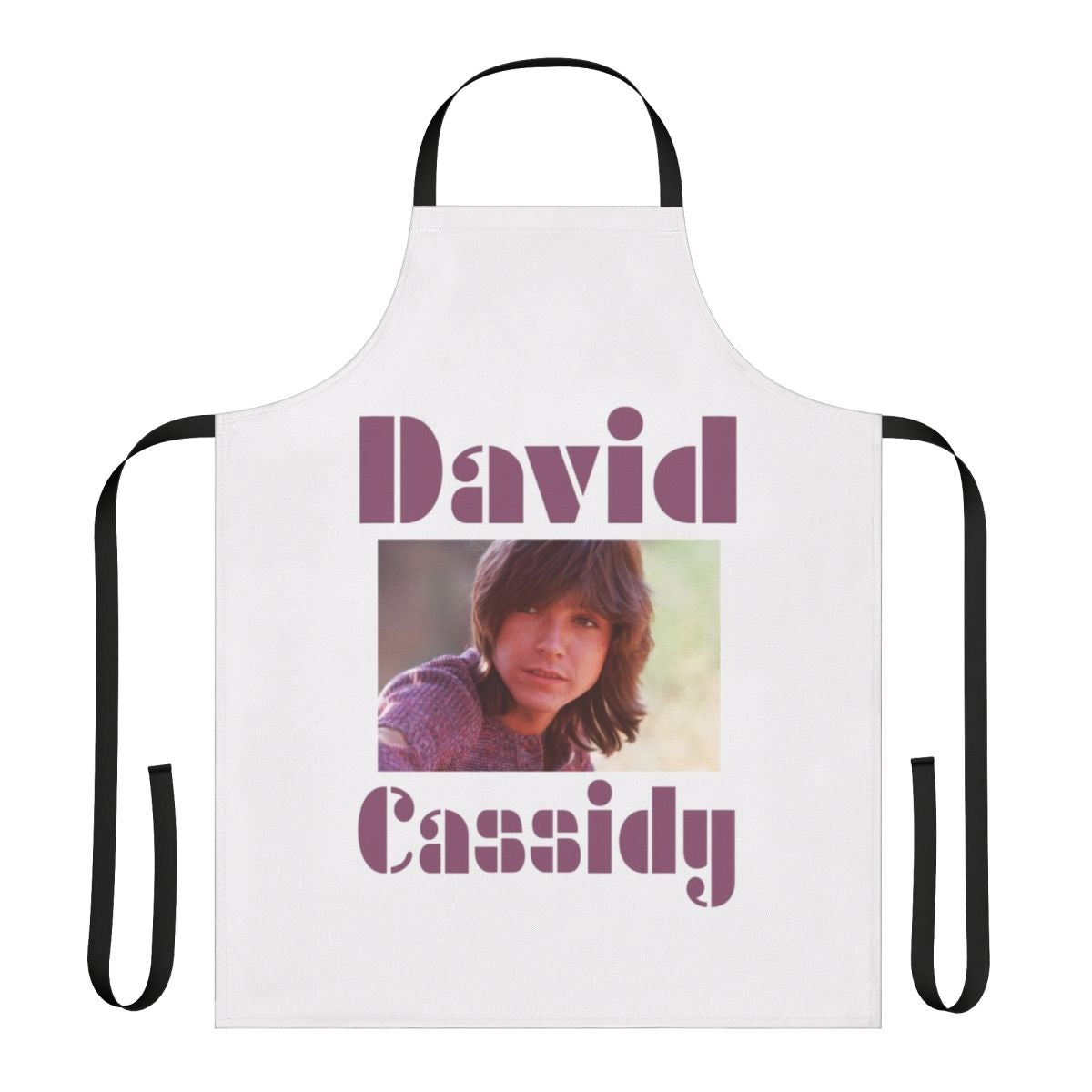 Vintage-style apron featuring imagery and text inspired by the 1970s TV series "The Partridge Family" and its star, David Cassidy.