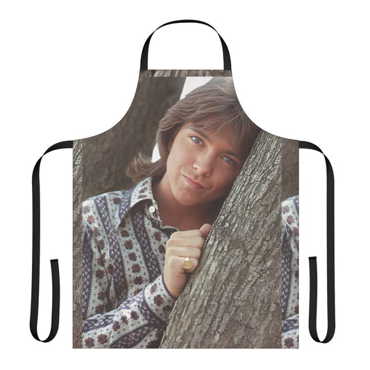 Vintage-style apron featuring a portrait of famous 1970s pop singer David Cassidy.