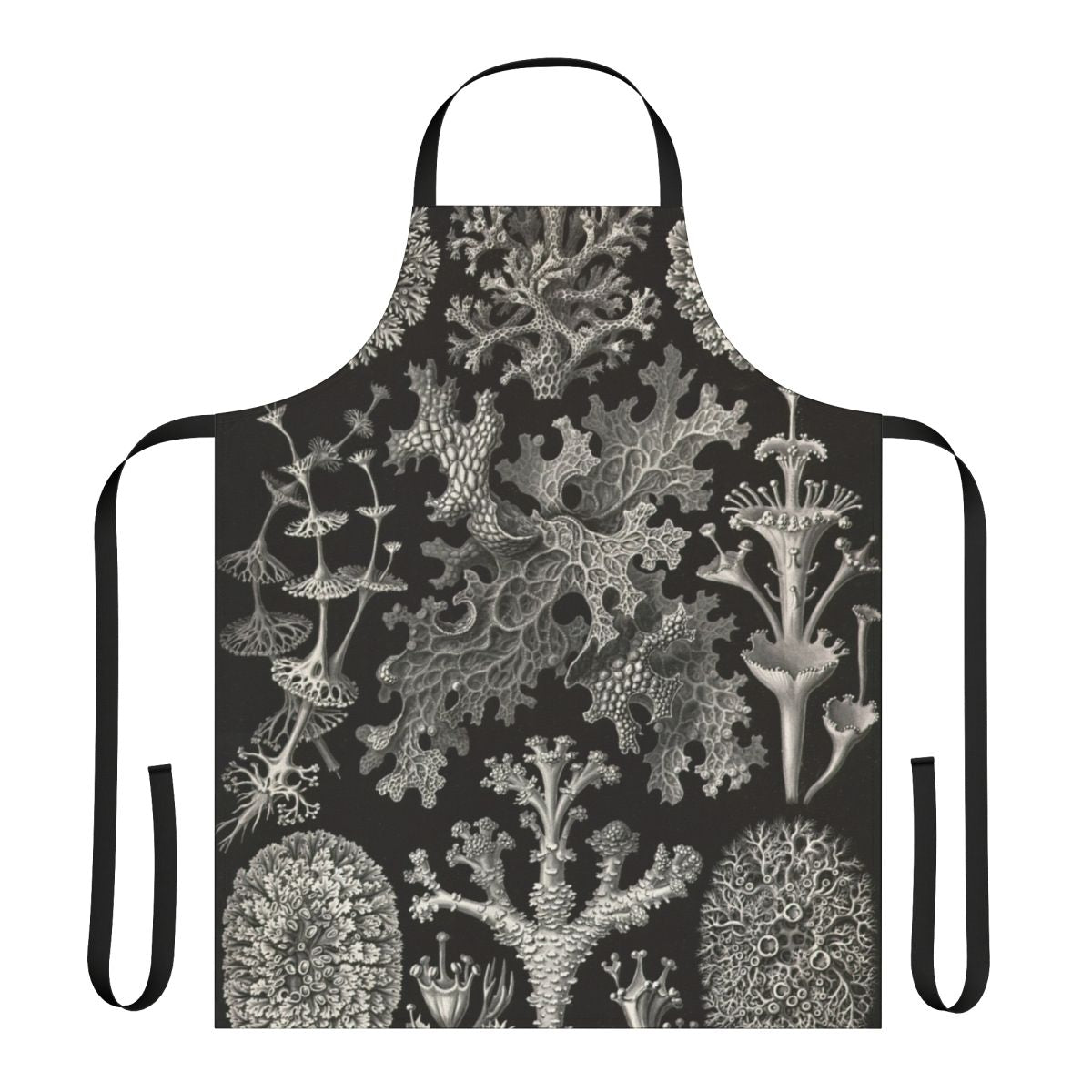 Vintage-style apron featuring scientific illustrations of lichenes by Ernst Haeckel