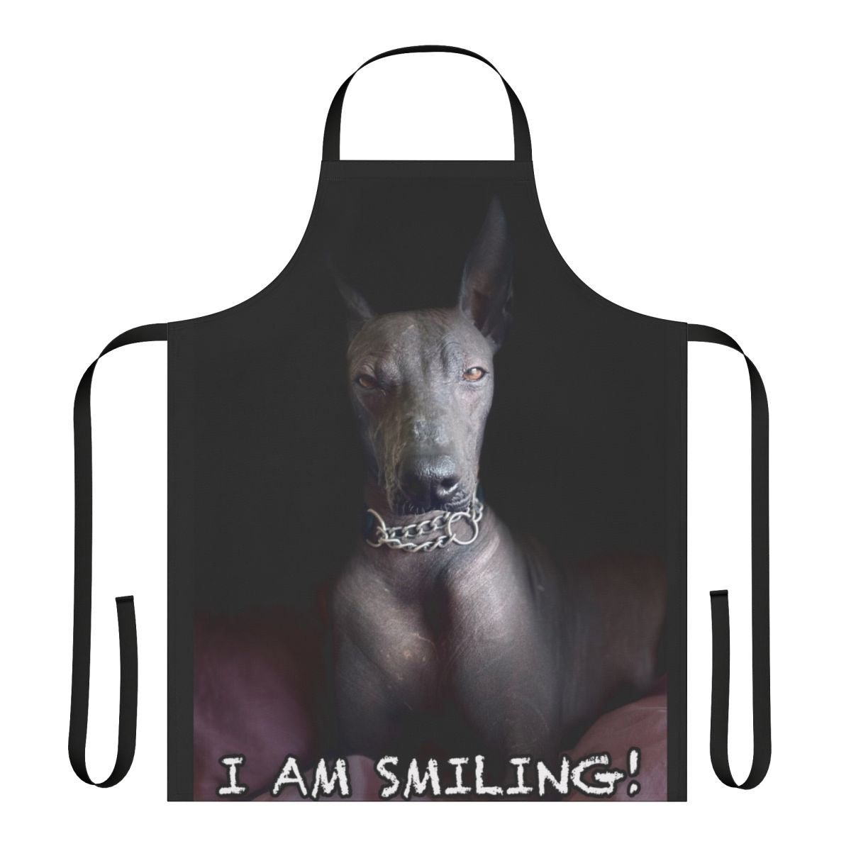 Xoloitzcuintle dog breed themed apron with a smiling design